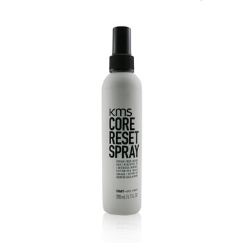 Core Reset Spray (perbaikan dari dalam ke luar) (Core Reset Spray (Repair From Inside Out))