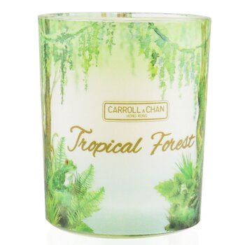 The Candle Company (Carroll & Chan) Lilin Nazar Lilin Nazar 100% Lebah - Hutan Tropis (100% Beeswax Votive Candle - Tropical Forest)