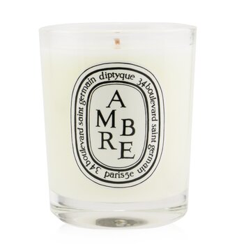 Diptyque Lilin Beraroma - Ambre (Amber) (Scented Candle - Ambre (Amber))