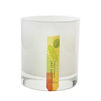 Lilin Aromatik - Daun Zaitun (Aromatic Candle - Olive Leaf)