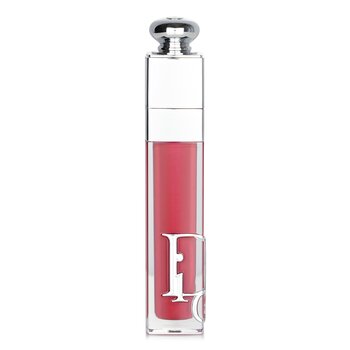 Addict Lip Maximizer Gloss - # 024 Bata Intens
